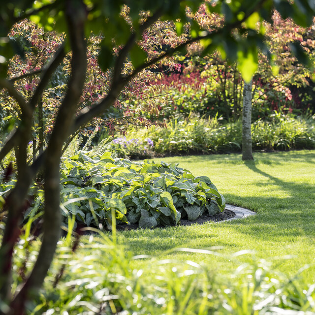 Kuppens fotografie 2419b